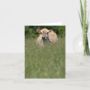 Hazel Card