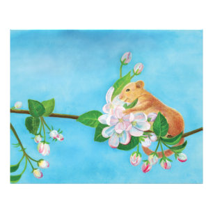 Hazel Dormouse on a blooming branch  Photo Print