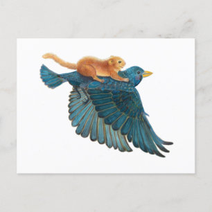 Hazel dormouse & Starling flying   Postcard