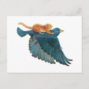 Hazel dormouse & Starling flying   Postcard
