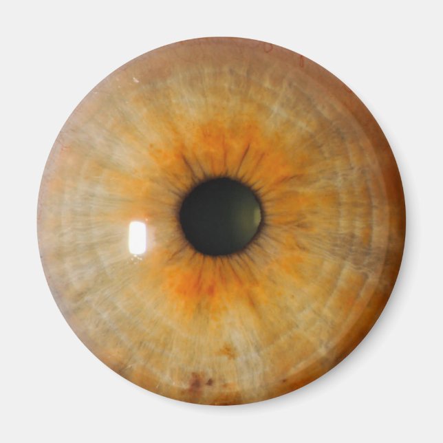 hazel eye with freckles magnet (Front)