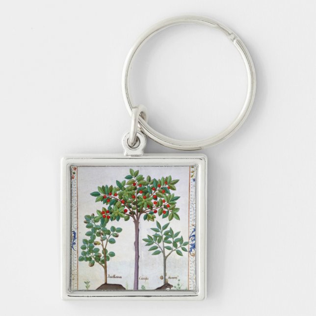 Hazelnut Bush  and Cherry tree Key Ring (Front)