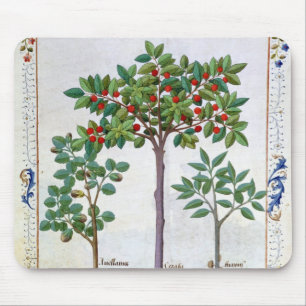 Hazelnut Bush  and Cherry tree Mouse Mat