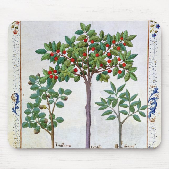 Hazelnut Bush  and Cherry tree Mouse Mat (Front)