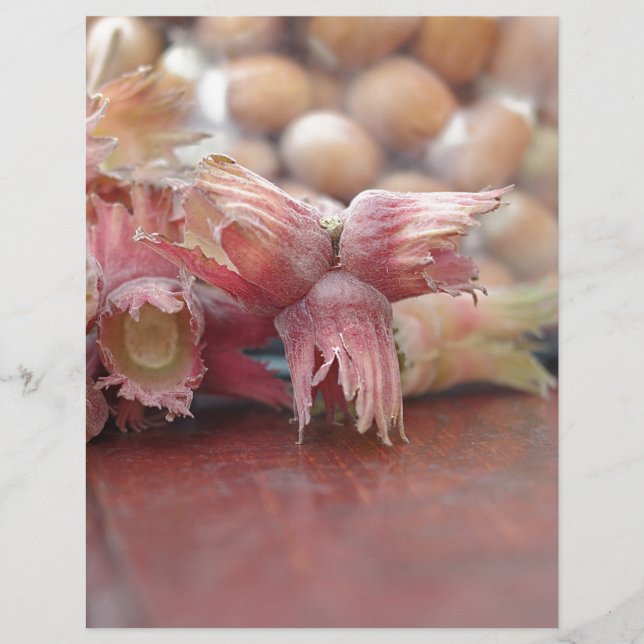 Hazelnuts.JPG (Front)