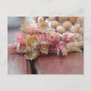 Hazelnuts.JPG Postcard