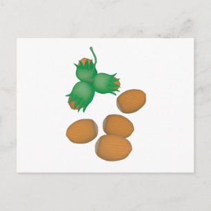 hazelnuts postcard