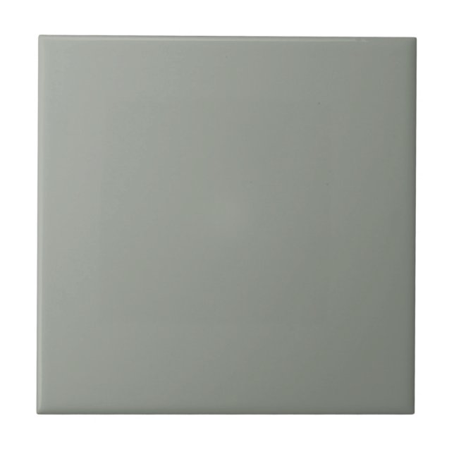Hazy Acacia Green Square Kitchen and Bathroom  Tile (Front)