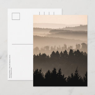 Hazy Woodland Hills Landscape Photo Postcard