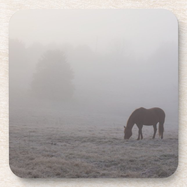 Hazzy Grazing Coaster (Front)
