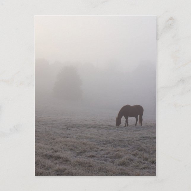 Hazzy Grazing Postcard (Front)