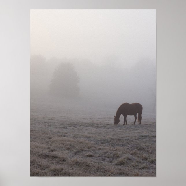Hazzy Grazing Poster (Front)