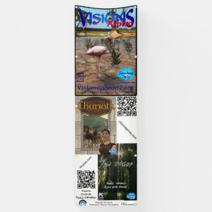 HBTZ All Game 2.5' x 8' Banner