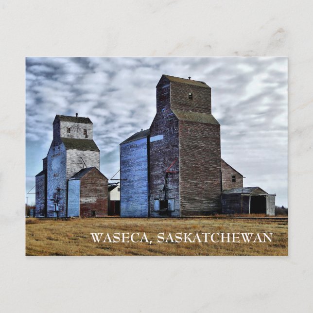 HDR Autumn Prairie Sentinels Travel Postcard (Front)