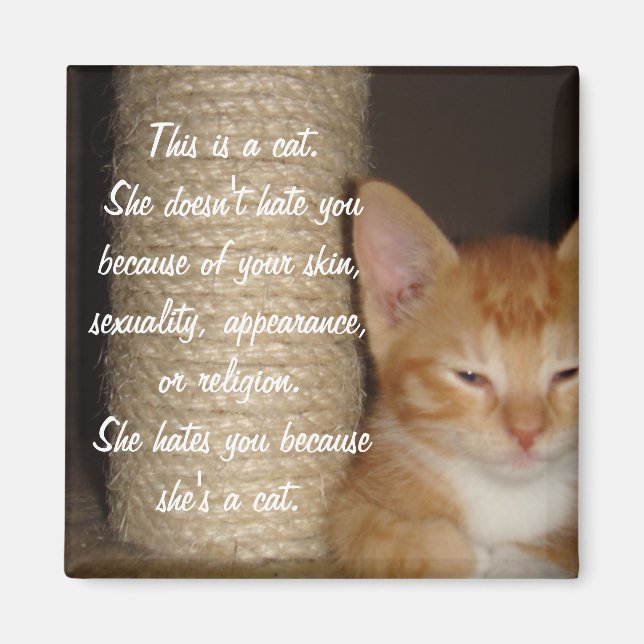 He Hates You Because He's a Cat Magnet (Front)
