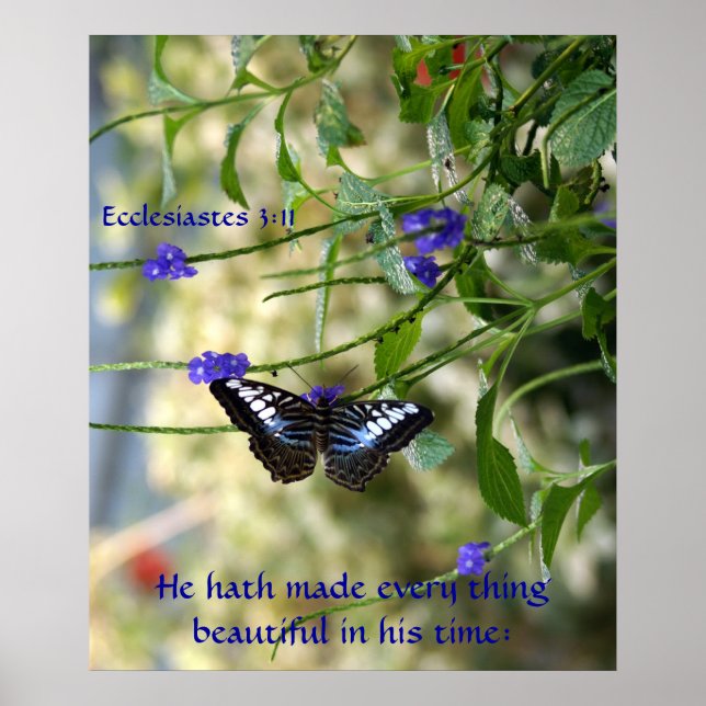 He hath made every thing beautiful Poster (Front)