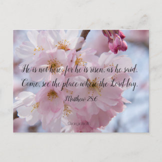 He is risen! postcard