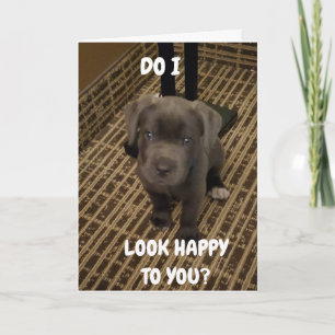 HE IS SERIOUS *DON'T FORGET ME WHEN YOU'RE GONE*  CARD