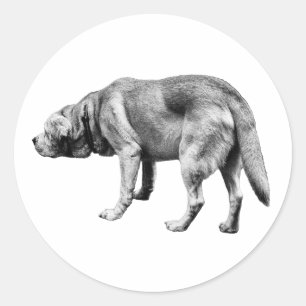 He Knows the Way Classic Round Sticker