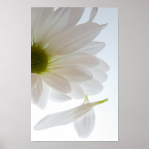 He Loves Me...He Loves Me Not Poster