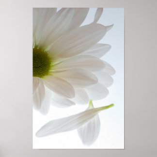 He Loves Me...He Loves Me Not Poster