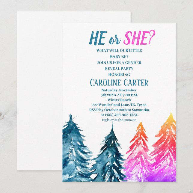 He or She Boy or Girl Winter Baby Shower  Invitation (Front/Back)