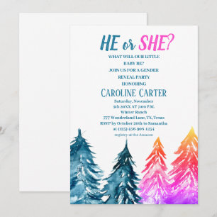 He or She Boy or Girl Winter Baby Shower  Invitation