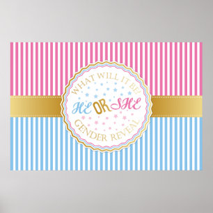 He or She Gender Reveal Poster