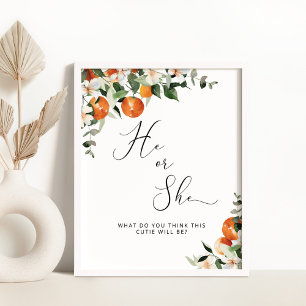 He or She little cutie gender reveal Poster