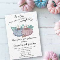 He or She Pink Blue Pumpkin Gender Reveal Autumn