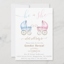 He or She Pink & Blue Stroller Gender Reveal Party