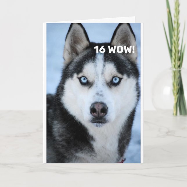 HE SAYS WHY OH WHY "16th BIRTHDAY" HUMOR Card (Front)