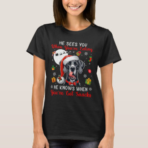 He Sees When You're Eating Snacks Xmas Great Dane T-Shirt