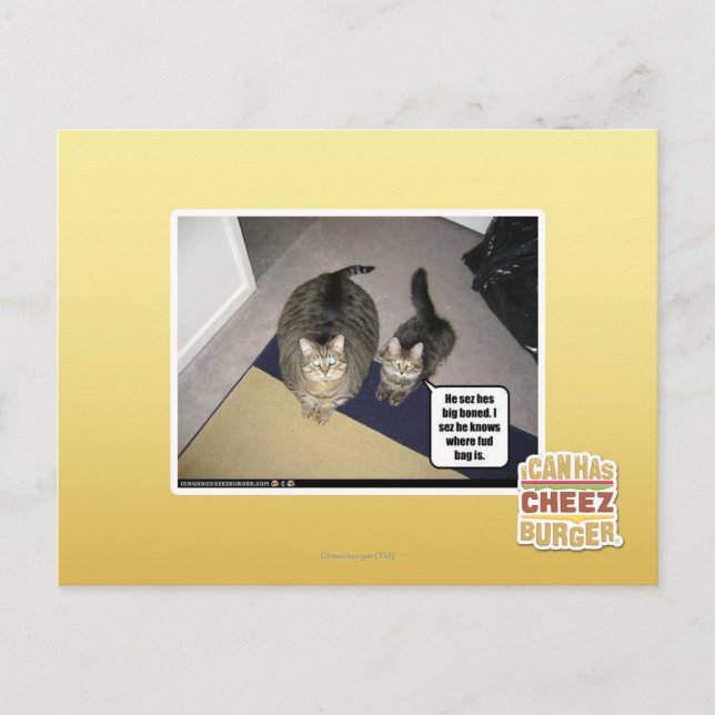 He sez hes big boned. postcard (Front)