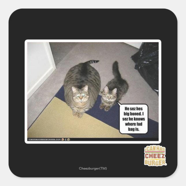 He sez hes big boned. square sticker (Front)