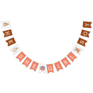 He She Girl Boy Gender Reveal Brown Coral Bunting