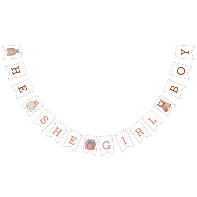 He She Girl Boy Gender Reveal bunting banner (All)