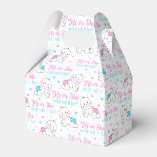 He She New Baby Favour Box