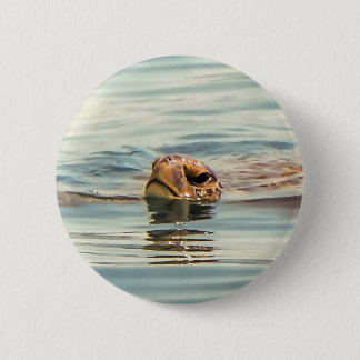Head Above Water Loggerhead Turtle 6 Cm Round Badge