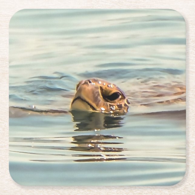 Head Above Water Turtle Ocean Wildlife Art Square Paper Coaster (Front)