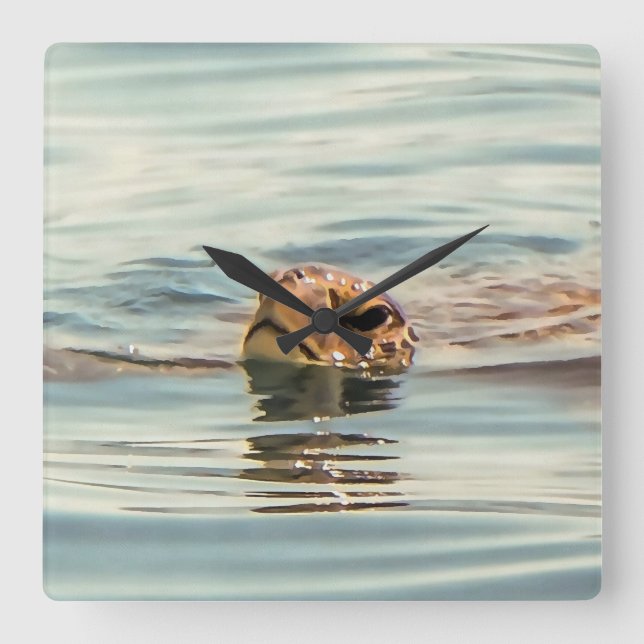 Head Above Water Turtle Ocean Wildlife Art Square Wall Clock (Front)