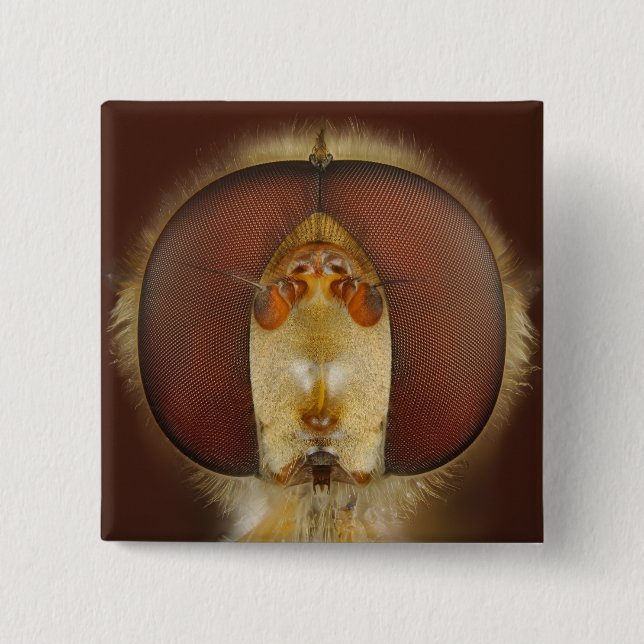 Head and Compound Eyes of a Hover Fly 15 Cm Square Badge (Front)