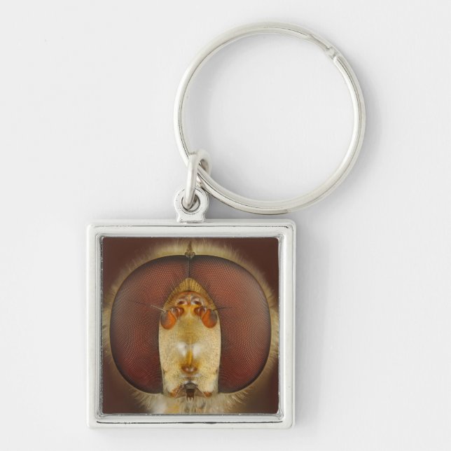 Head and Compound Eyes of a Hover Fly Key Ring (Front)