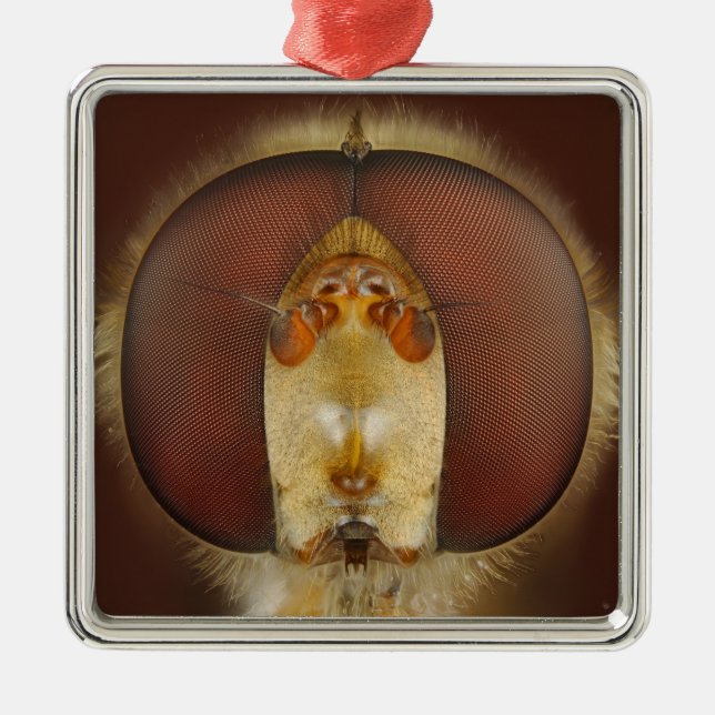Head and Compound Eyes of a Hover Fly Metal Tree Decoration (Front)