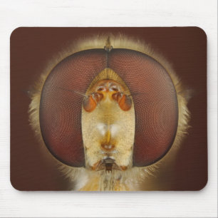 Head and Compound Eyes of a Hover Fly Mouse Mat