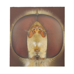 Head and Compound Eyes of a Hover Fly Notepad