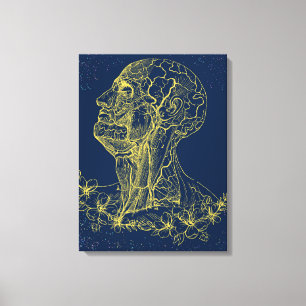 Head and neck anatomy wall art canvas 