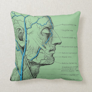Head and veins - anatomy cushion