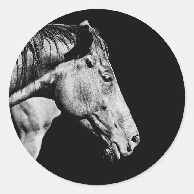 head horse's leg classic round sticker (Front)