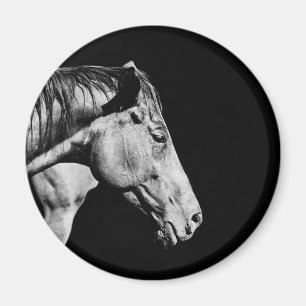 head horse's leg magnet